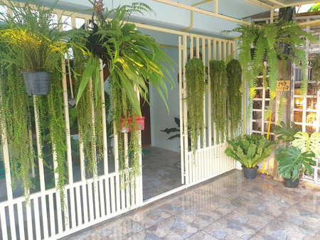 297 Nature Residence, Bangkok, Thailand