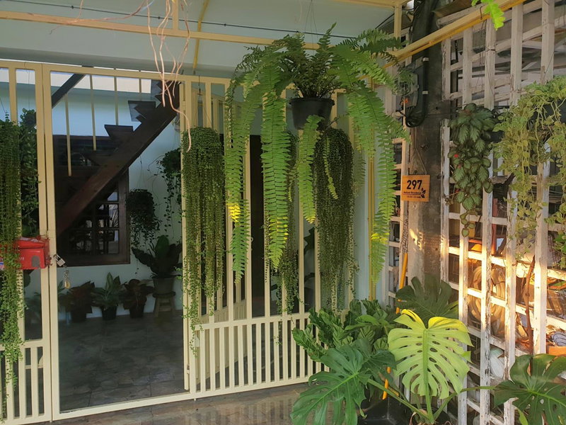 297 Nature Residence, Bangkok, Thailand