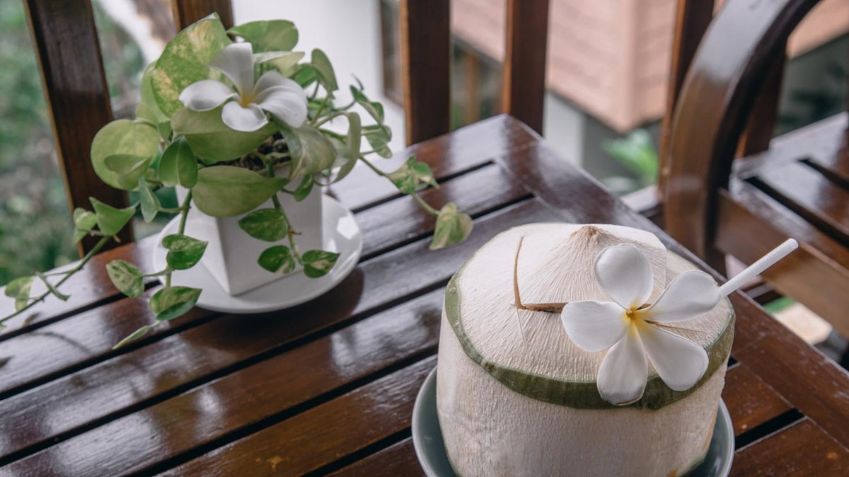 Ban's Avenue Guesthouse, Thailand