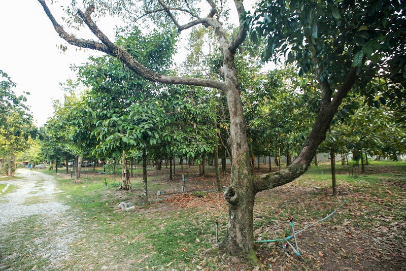 Khao Hin Tang Resort, Klaeng, Thailand