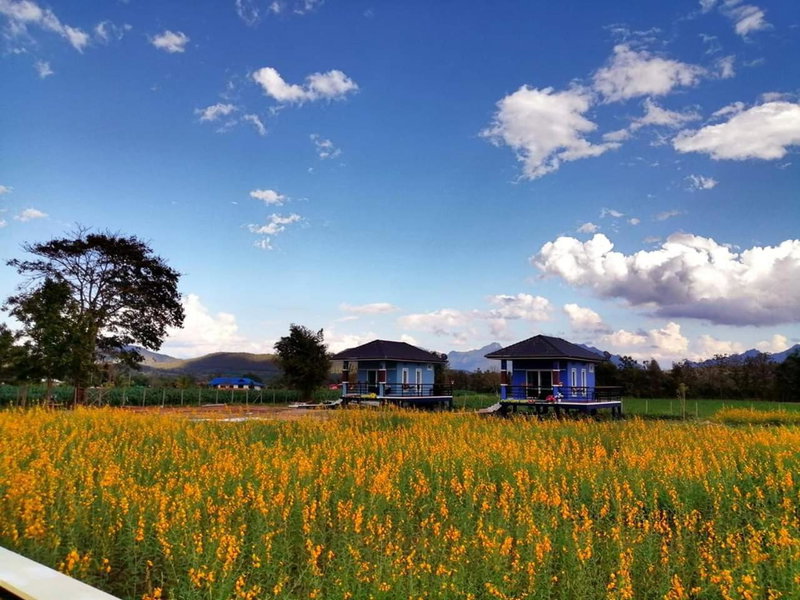 Ban Thung Talay Mok Chiangdao, Chiang Dao, Thailand