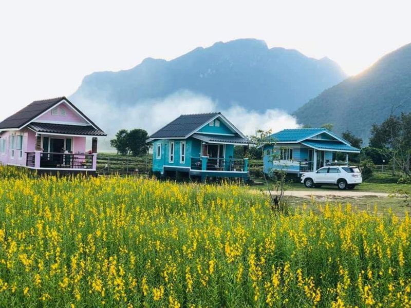 Ban Thung Talay Mok Chiangdao, Chiang Dao, Thailand