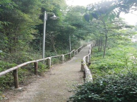 Suan Phueng Pa Wai Resort, Suan Phueng, Thailand