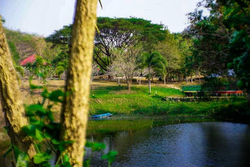 Suan Phueng Pa Wai Resort, Suan Phueng, Thailand
