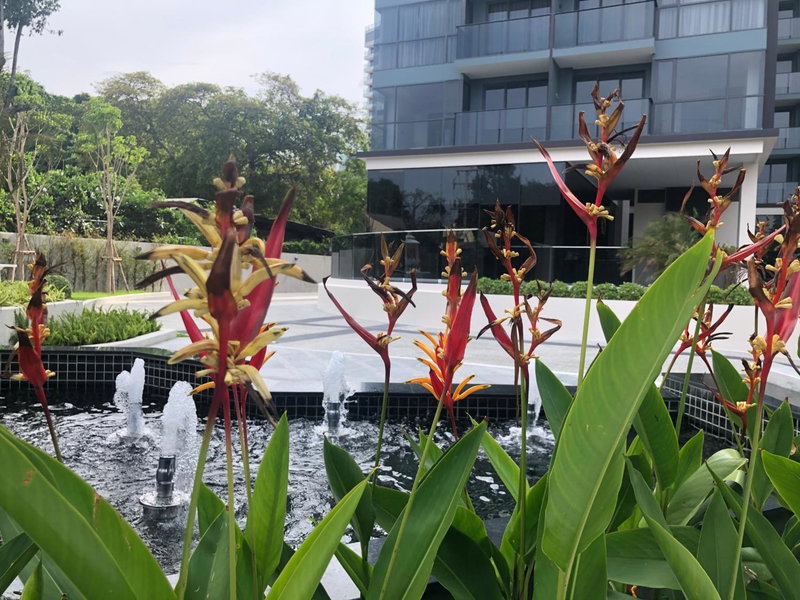 the andromeda condominium seaview, Pattaya South, Thailand