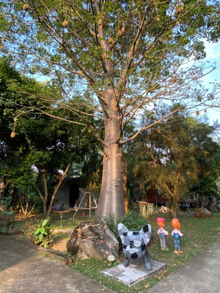 Nung Ni Bang Khon Thi Resort, Amphawa, Thailand