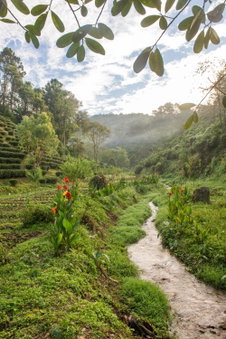 เลาลีฮิลล์รีสอร์ท Laulee hill resort, Chiang Rai, Thailand
