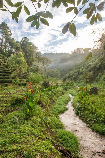 เลาลีฮิลล์รีสอร์ท Laulee hill resort, Chiang Rai, Thailand
