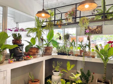 Cafe Home, Chiang Mai, Thailand