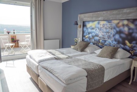 Winzerhotel Trautwein, Flonheim, Germany