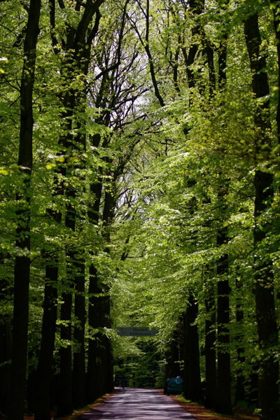 VILA VITA Burghotel Dinklage, Dinklage, Germany