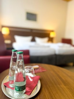 Hotel Fränkischer Hof, Kitzingen, Germany