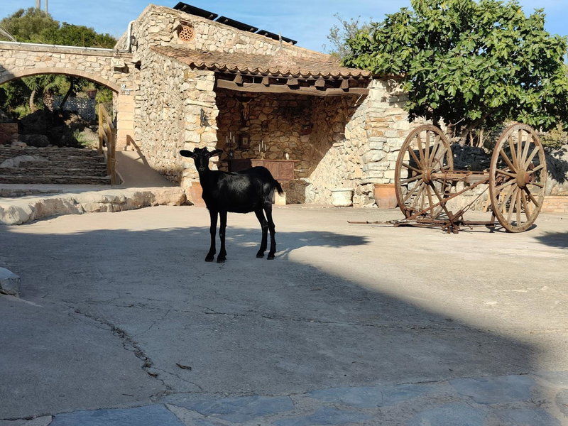 Agroturismo Sa Duaia, Artá, Spain