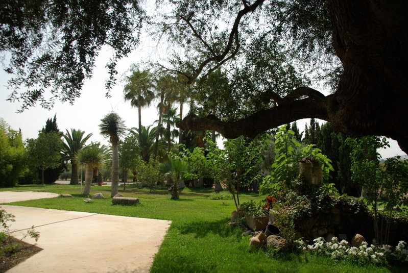 Sa Cabana Hotel & Spa - Adults Only, Consell, Spain