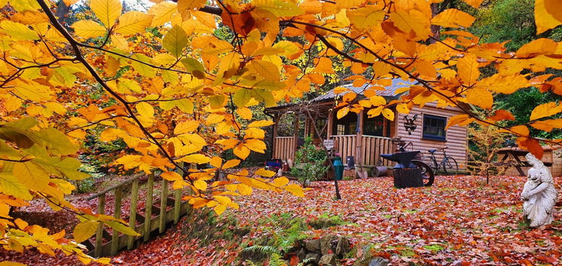 The Miners Log Cabin, Blaina, United Kingdom