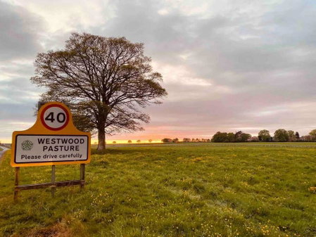 Beverley Snug, Beverley, United Kingdom