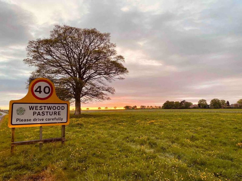 Beverley Snug, Beverley, United Kingdom
