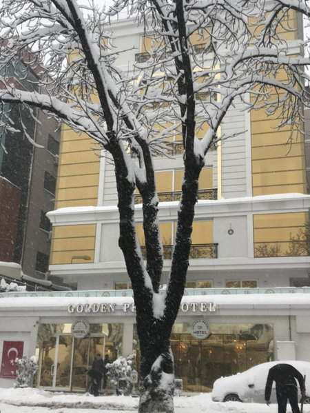 Golden Pars Hotel, Bursa, Turkey