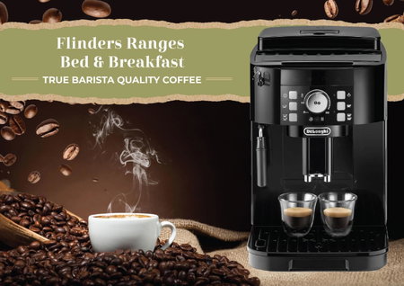 Flinders Ranges Bed and Breakfast, Hawker, Australia