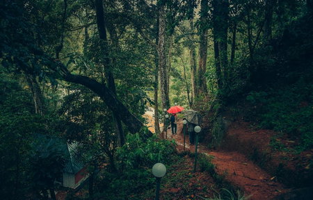 Ela Ecoland Nature Retreat, Munnar, India