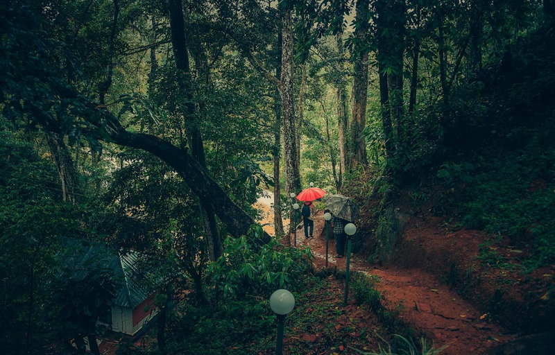 Ela Ecoland Nature Retreat, Munnar, India