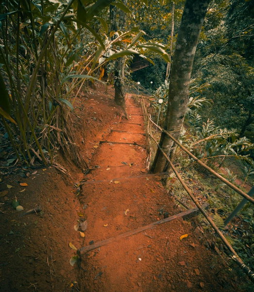 Ela Ecoland Nature Retreat, Munnar, India