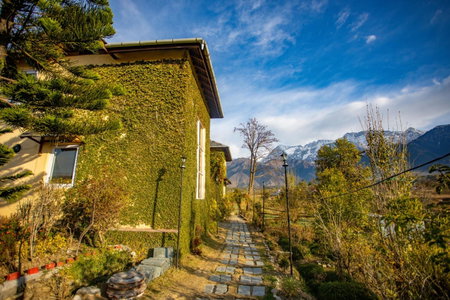 Seclude Palampur, Pālampur, India