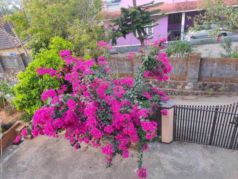 Nivaasana Bed & Breakfast, Kalpetta, India