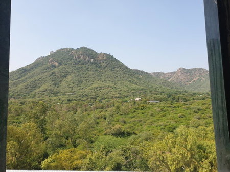Bamboo Saa Resort & Spa - Udaipur, Udaipur, India