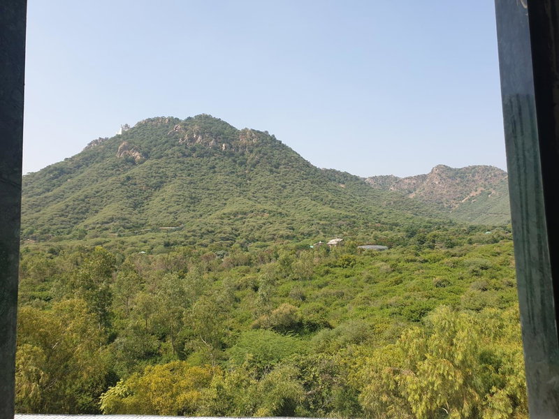 Bamboo Saa Resort & Spa - Udaipur, Udaipur, India