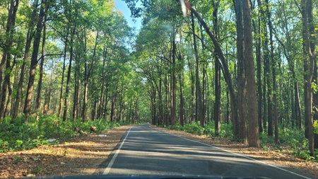 Corbett Mid Forest House - 1 Min Walk from Dabka River, Rāmnagar, India