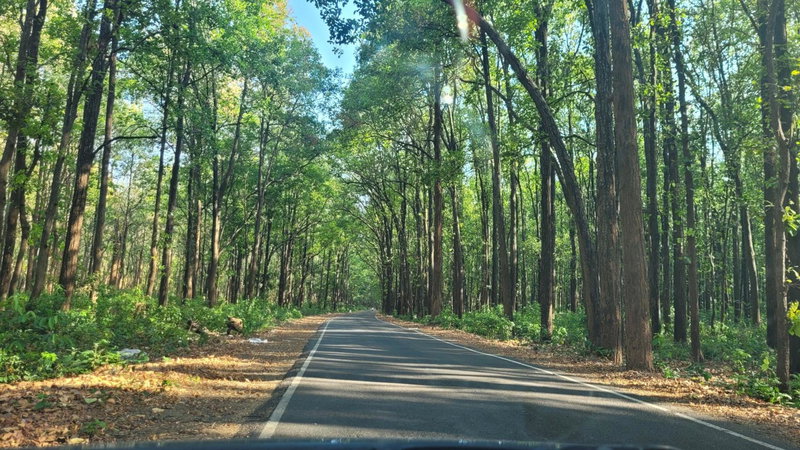 Corbett Mid Forest House - 1 Min Walk from Dabka River, Rāmnagar, India