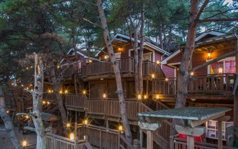 Hoengseong Pine Bell Pension, Morag, South Korea