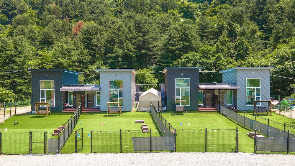 Gapyeong Dingdongdaeng Pet&spa Poolvilla, South Korea