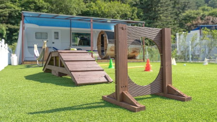 Gapyeong Dingdongdaeng Pet&spa Poolvilla, Gapyeong, South Korea