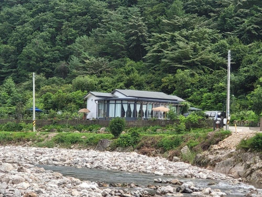 Danyang Forest 67, 대한민국