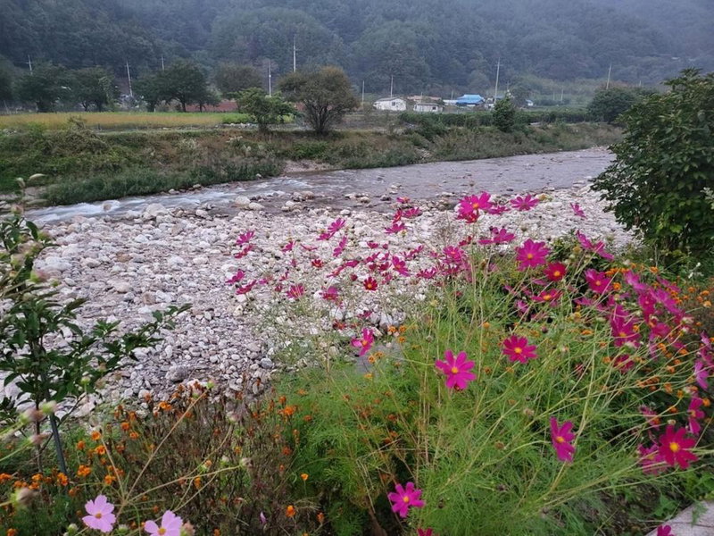 Danyang Forest 67, Danyang, South Korea