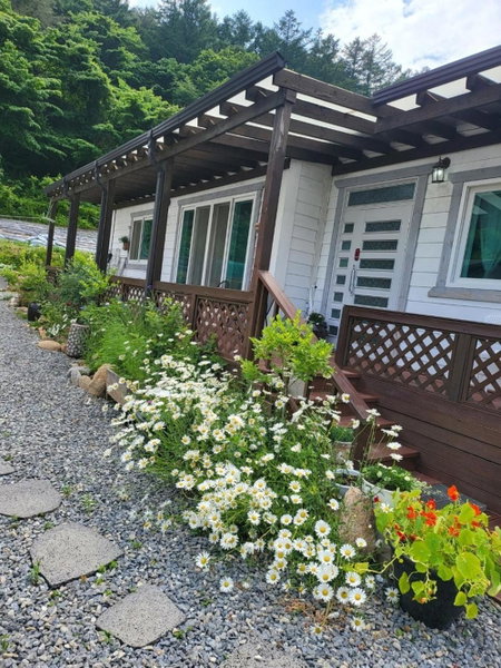 Danyang Forest 67, Danyang, South Korea