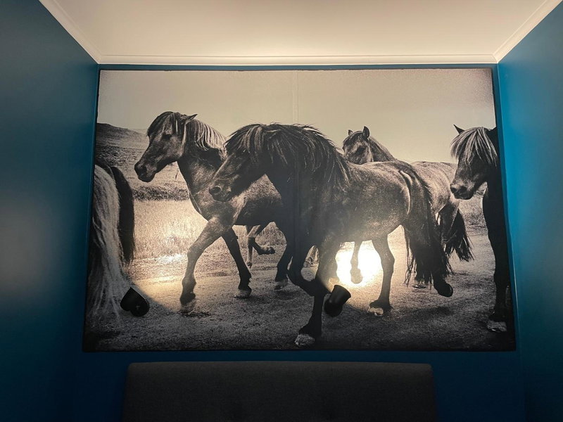 Apartament przy Ścieżce Kościelnej, Elblag, Poland