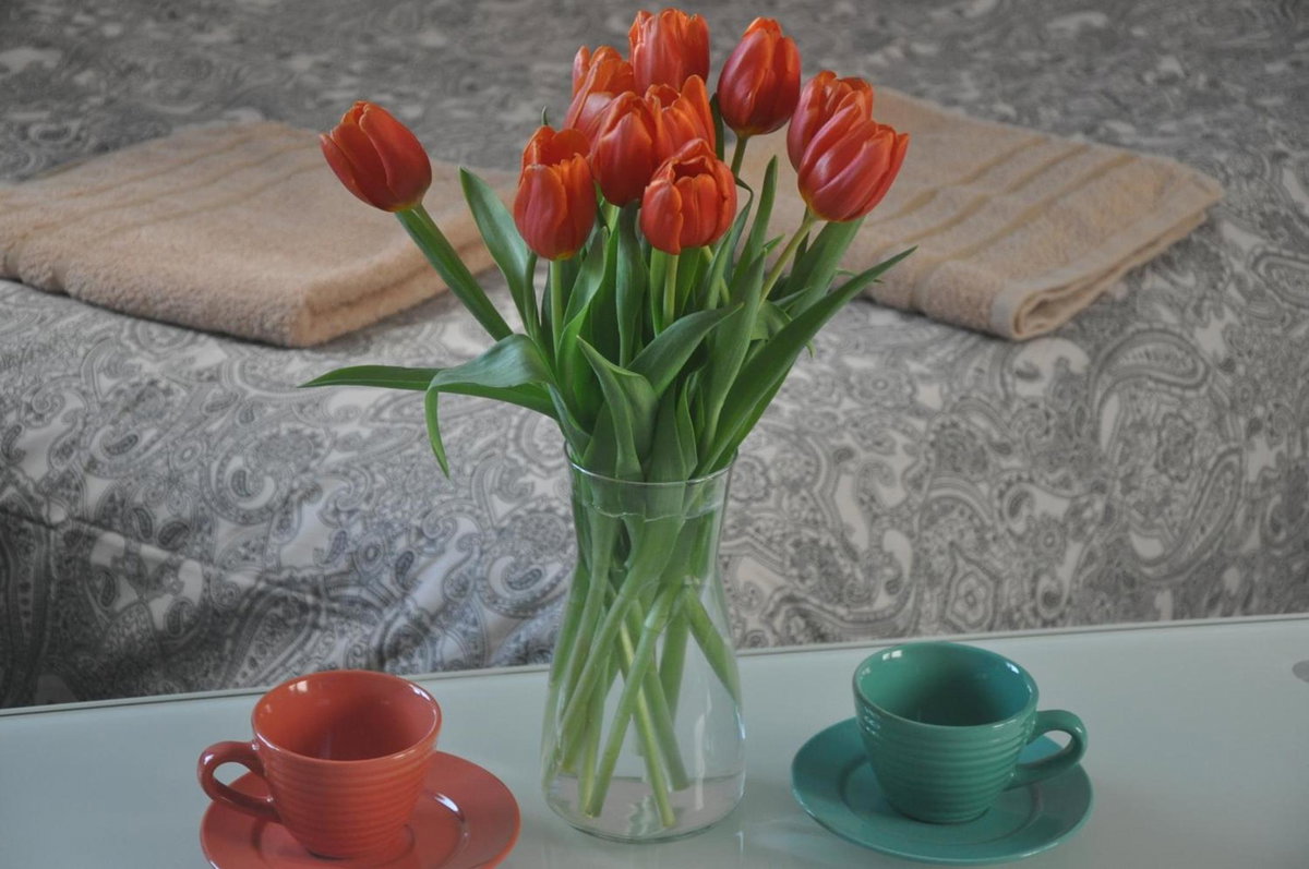 Apartament przy Parku Czartoryskich, Poland