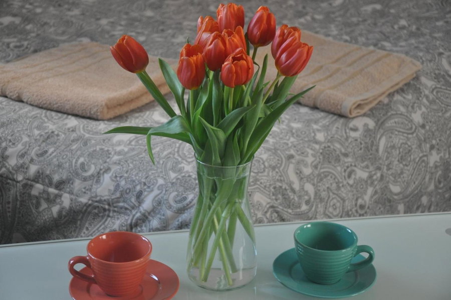 Apartament przy Parku Czartoryskich, Puławy, Poland