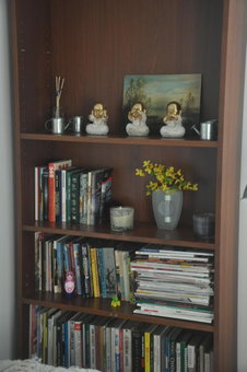 Apartament przy Parku Czartoryskich, Puławy, Poland