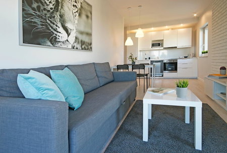 IRS ROYAL APARTMENTS Apartamenty IRS Albatros, Gdańsk, Poland