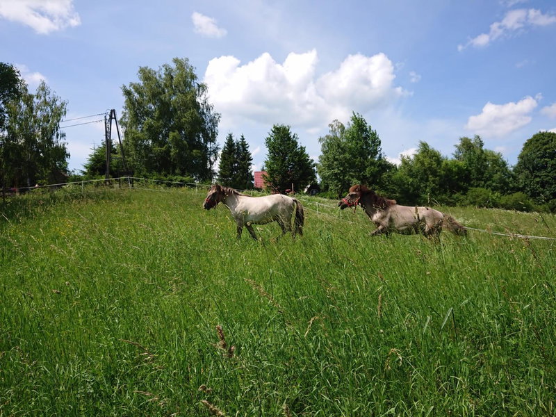 Cudne Manowce, Wetlina, Poland
