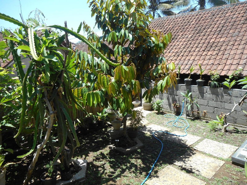 Ming Homestay, Sidemen, Indonesia