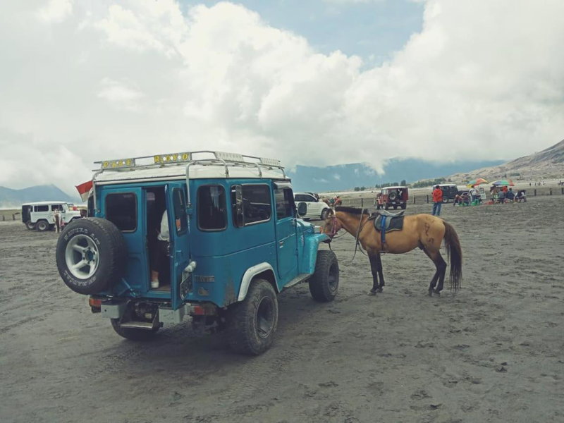 Bromo Backpacker Tosari, Pasuruan, Indonesia
