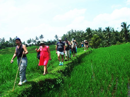 Cempaka Belimbing Villa, Blimbing, Indonesia