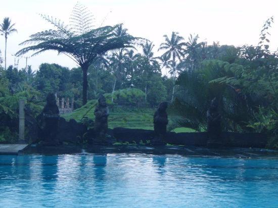 Cempaka Belimbing Villa, Blimbing, Indonesia