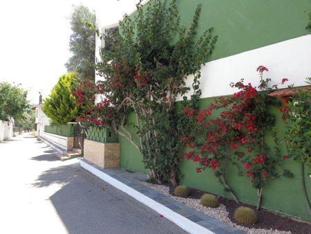 Terinikos Sunny Garden Hotel & Junior Suites, Ialyssos, Greece