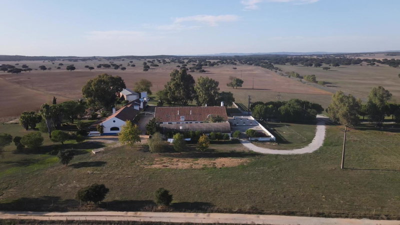 Lodge Monte Do Sobral, Alcáçovas, Portugal